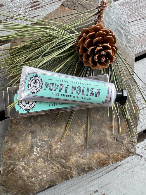 Puppy Polish Toothpaste-Filet Mignon (Beef)