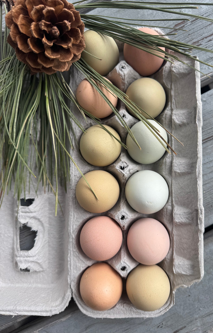 Fresh Chicken Eggs