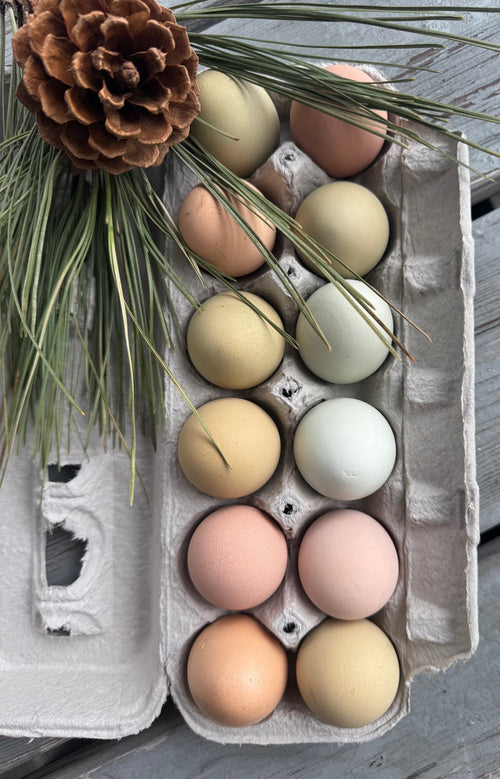 Fresh Chicken Eggs