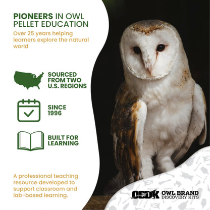 Biology & Anatomy Foundations Solo Essentials Large Sterilized Barn Owl Pellet Activity