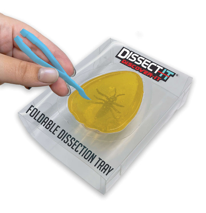 Discover It - Amber Lab foldable dissection tray for biology learning and hands-on wildlife education.