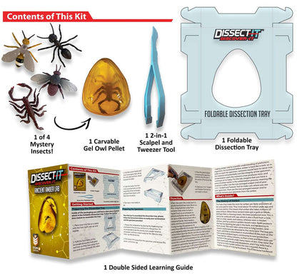 Discover It - Amber Lab kit contents including owl pellet, dissection tools, and learning guide for wildlife education.