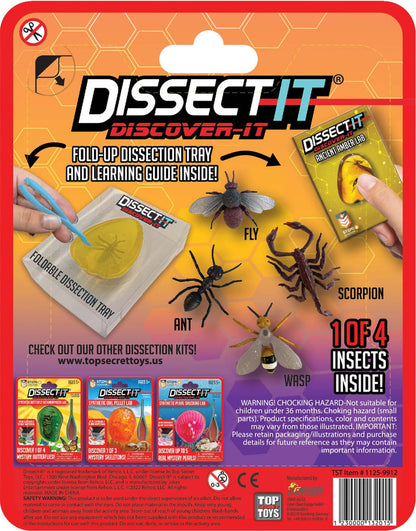 Discover It - Amber Lab dissection kit with insects, foldable tray, and learning guide for wildlife education.