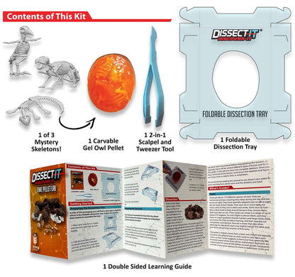 Discover It - Owl Pellet Lab kit contents including gel pellet, tools, and learning guide for wildlife education.