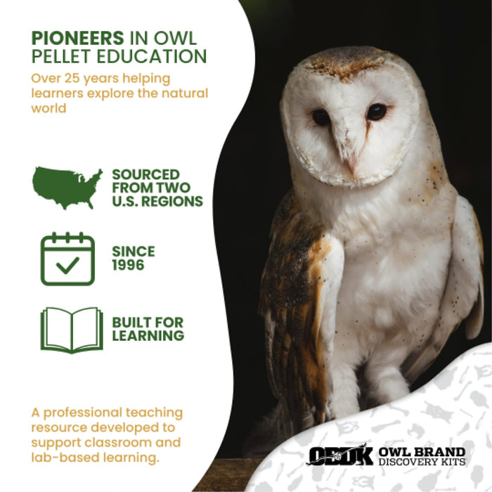 Ecology Foundations Classroom Essentials for Teaching 10 Students