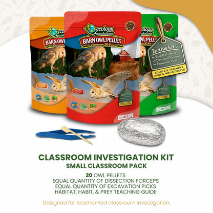 Ecology Foundations Classroom Essentials for Teaching 20 Students