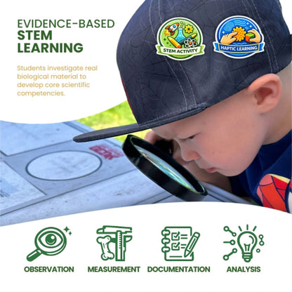 Ecology Foundations Classroom Essentials for Teaching 20 Students