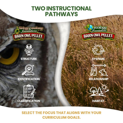 Ecology Foundations Classroom Essentials for Teaching 20 Students