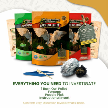 FIVE Biology & Anatomy Foundations Solo Essentials Large Sterilized Barn Owl Pellet Activities