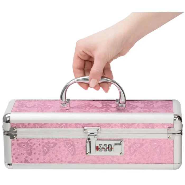 BMS Lockable Toy Box Rolik