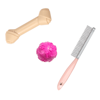 Our Generation Doll Meagan & Passenger Pets Bundle