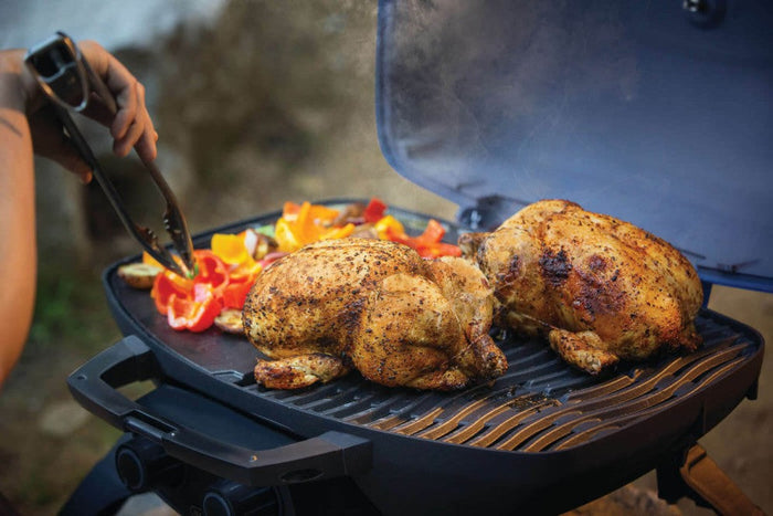 Portable gas grill for camping cooking chicken and vegetables outdoors.