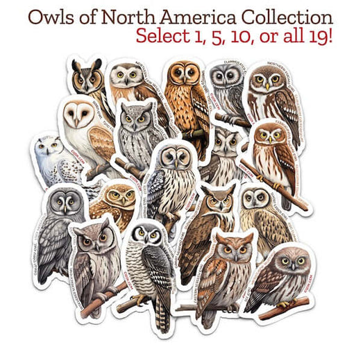 Owls of North America Sticker Collection -- All 19! featuring unique owl designs promoting wildlife education and conservation.