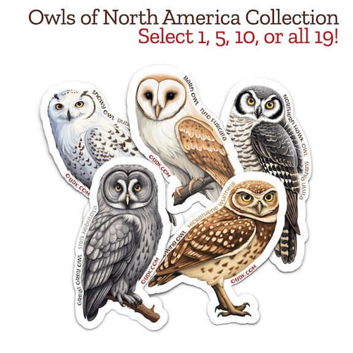 Owls of North America Sticker Collection -- Select 5 featuring various owl designs promoting conservation and wildlife education.