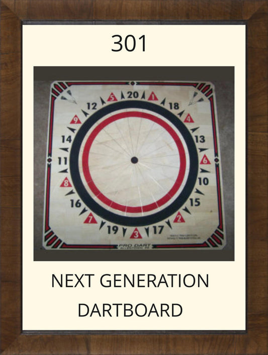 Pro Dart 301 Next Gen Dartboard - Black / Red