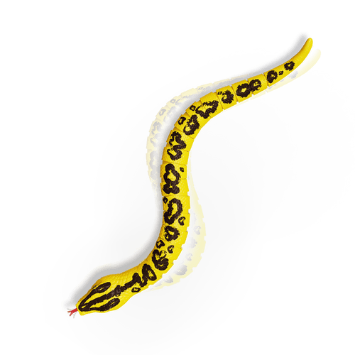 RC Snake: Yellow Anaconda - Terra by Battat