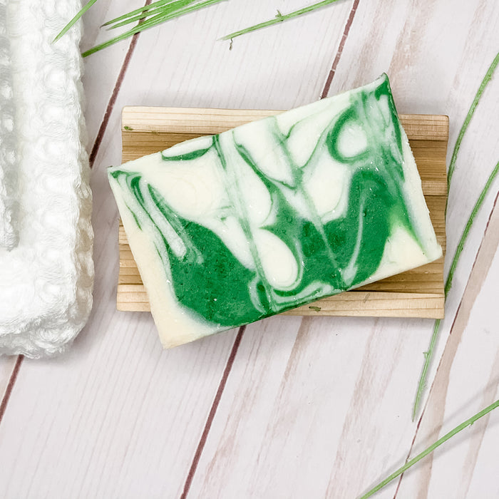 Scents of the Season - 3 Bar Organic Soap